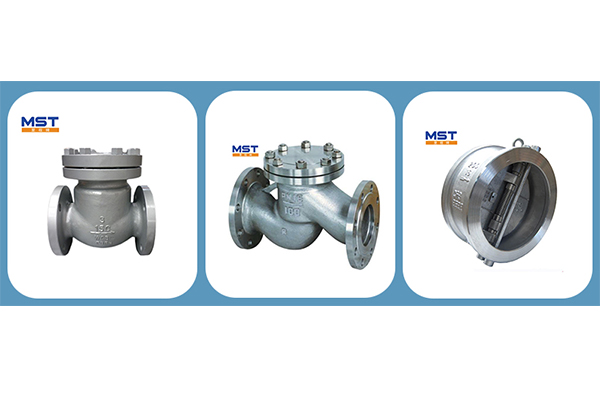 Check Valve ၏ဖွဲ့စည်းပုံ