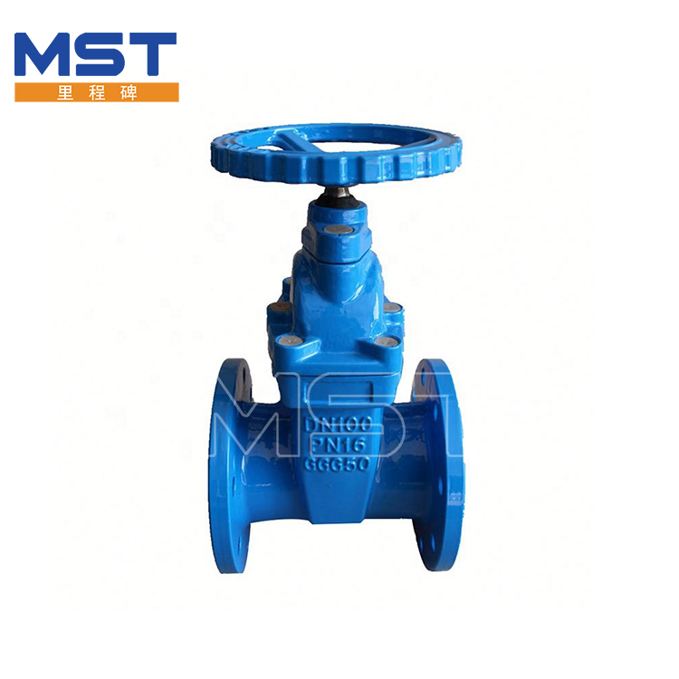 Iron Flange ဂိတ် Valve ကိုသွန်းလောင်း