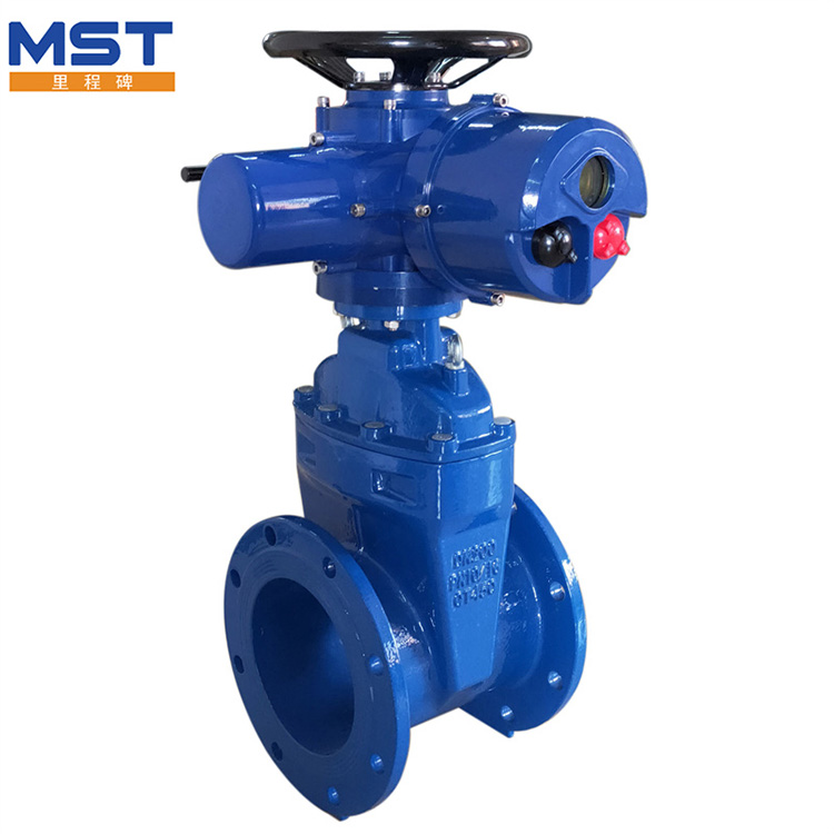 Resilient Seated Flanged Gate Valves များ