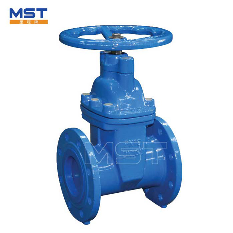 ခံနိုင်ရည်ရှိသောသပ် Iron gate Valves များ